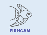 Fish cam link